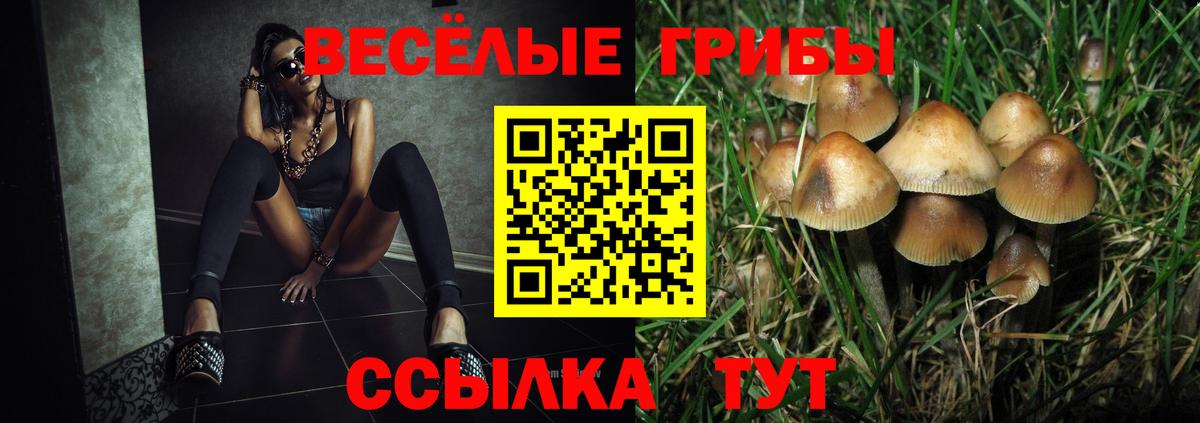 Россошь  Псилоцибиновые грибы Cubensis  Псилоцибиновые грибы мухоморы  Вход с VPN 